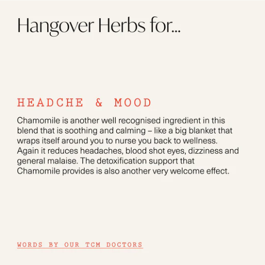 Hangover Herbs Tea